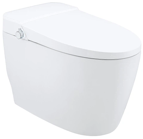 automatic smart toilet