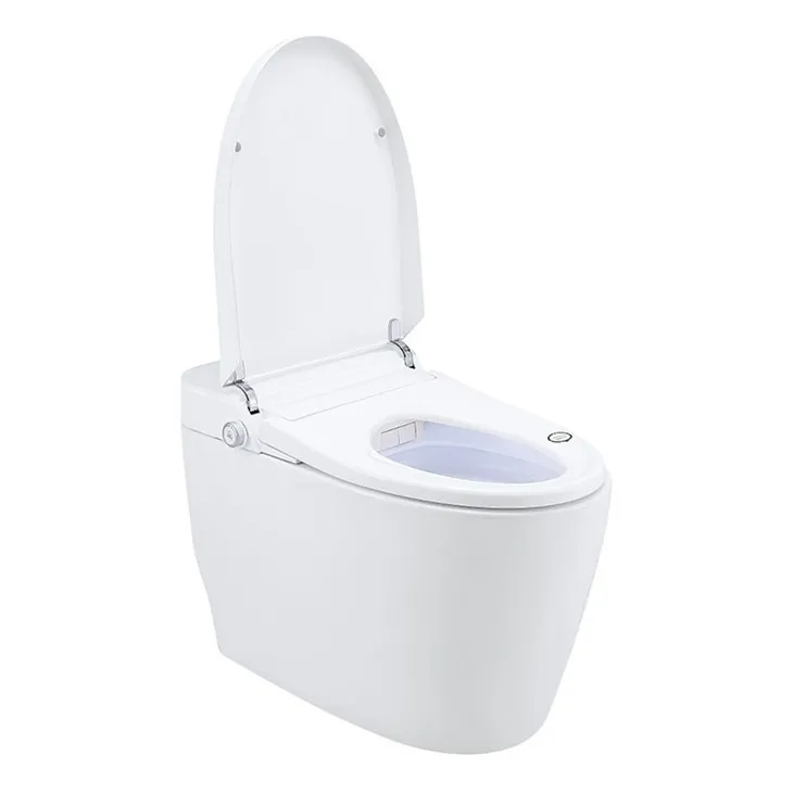 floor mounted smart toilet